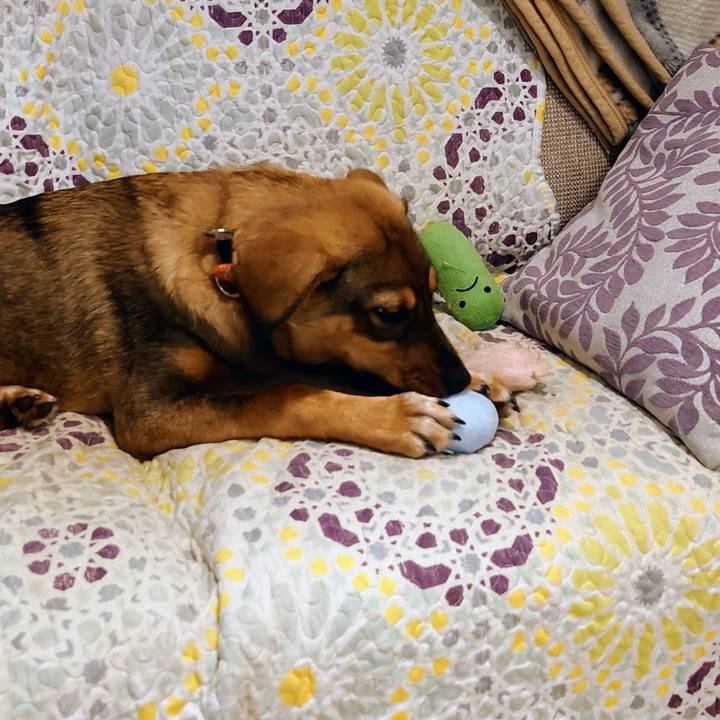 F30e4311 fbf2 43d3 bc1b f1cd18ba7e65 1686666193665