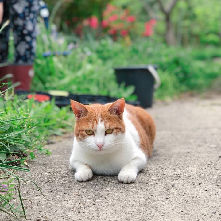 F30e7d06 42da 45a4 a055 fd988fa18892 1525585732835