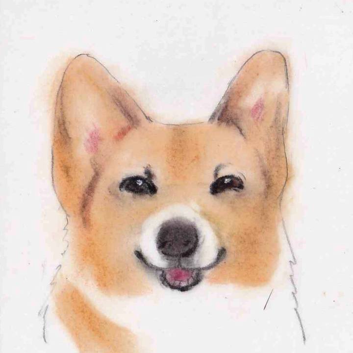 F30e7db3 8d5c 482d a7f2 2f1ecfa41a2c 1634378400873