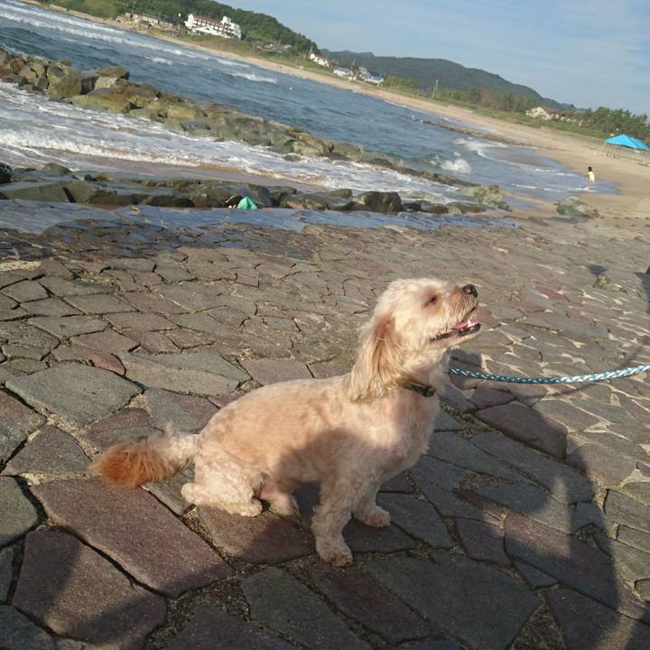 F30e94c6 3439 4452 8a04 4bc632dfdde7 1534581625443