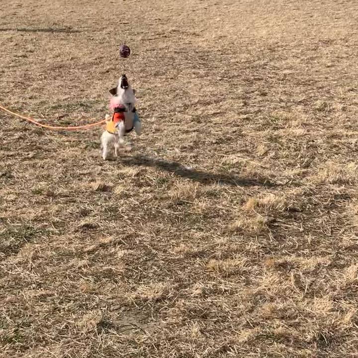 F30ea2f2 3f3f 4cca 9263 0bc365659826 1675212654808