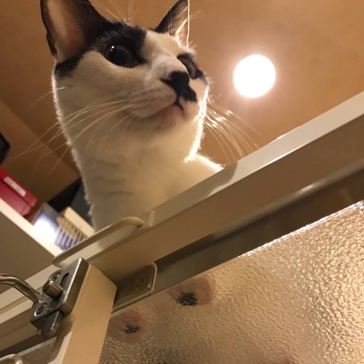 F30ef2c6 cc4d 453d a9e2 871aa6b07e58 1510503021885