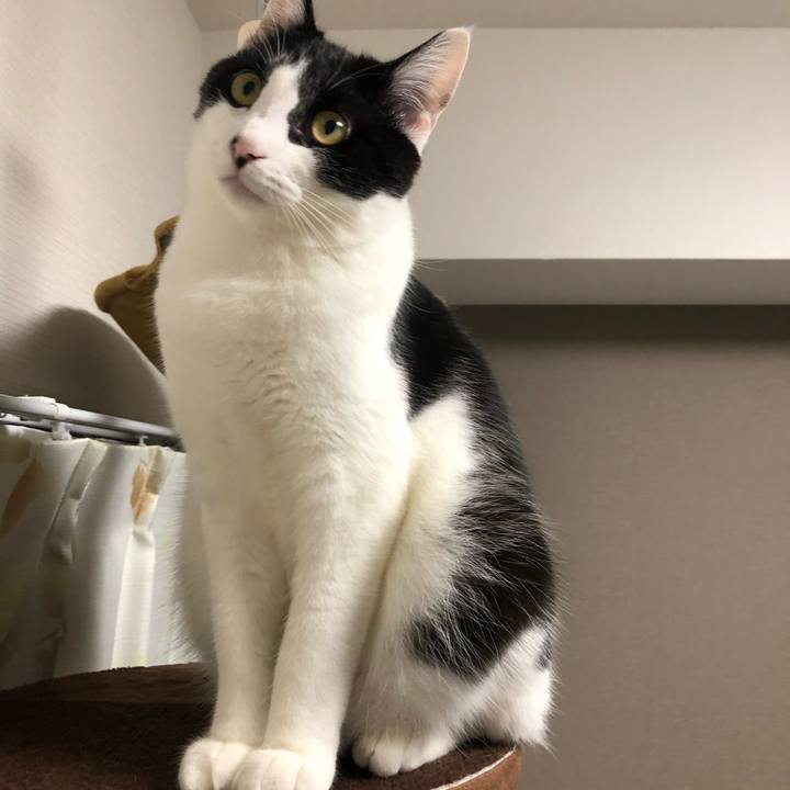 F30f04e5 416d 41cf 8a2d d71a958b6b90 1629038126693