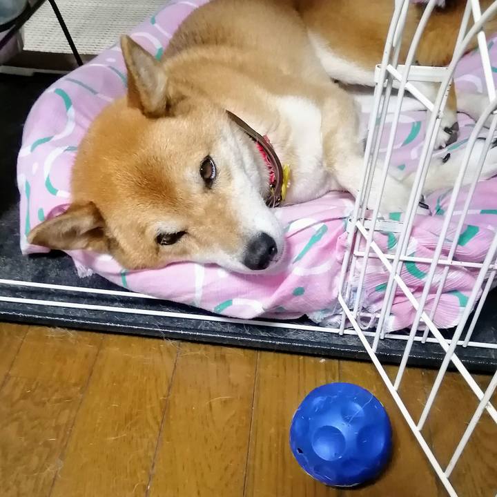 F30f6e3c 0568 4136 8bb0 a3258e321051 1600481440586