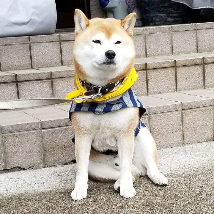 F30f829f 984f 40a9 a2ab e2330878b7e3 1521444985486