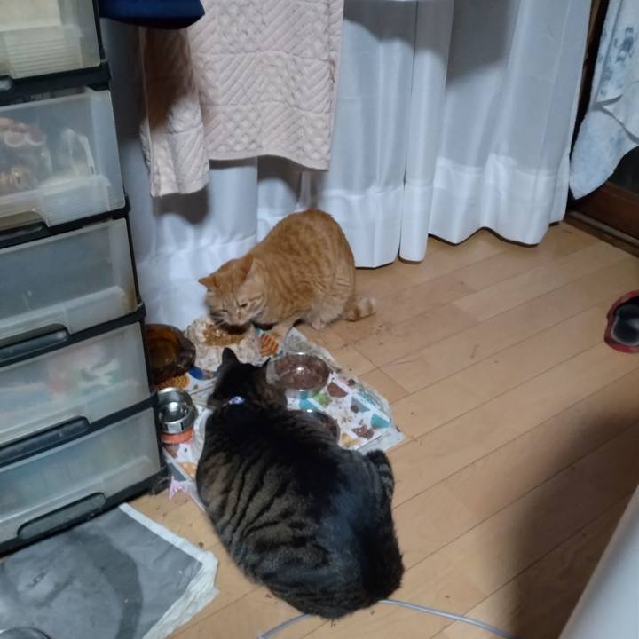 F3100077 4047 4719 bf00 c51715b98edd 1673220909549