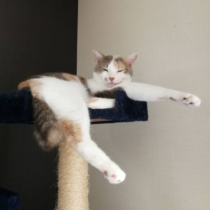 F3103115 a854 437f af21 c7c4271372c6 1565240940441