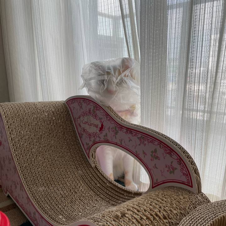 F31069a4 cf00 414a 813c 434434d43bb0 1626391937103