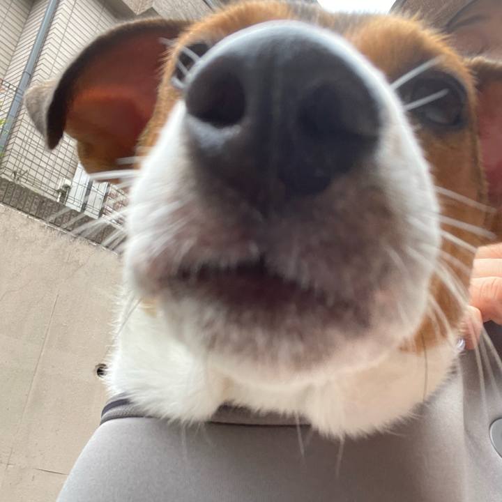 F3107dcc e6eb 41bf 996d adaff6361178 1689481690907