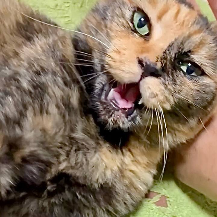 F3109442 1dce 4ced bdc8 4f50a3baf8f0 1753669435682