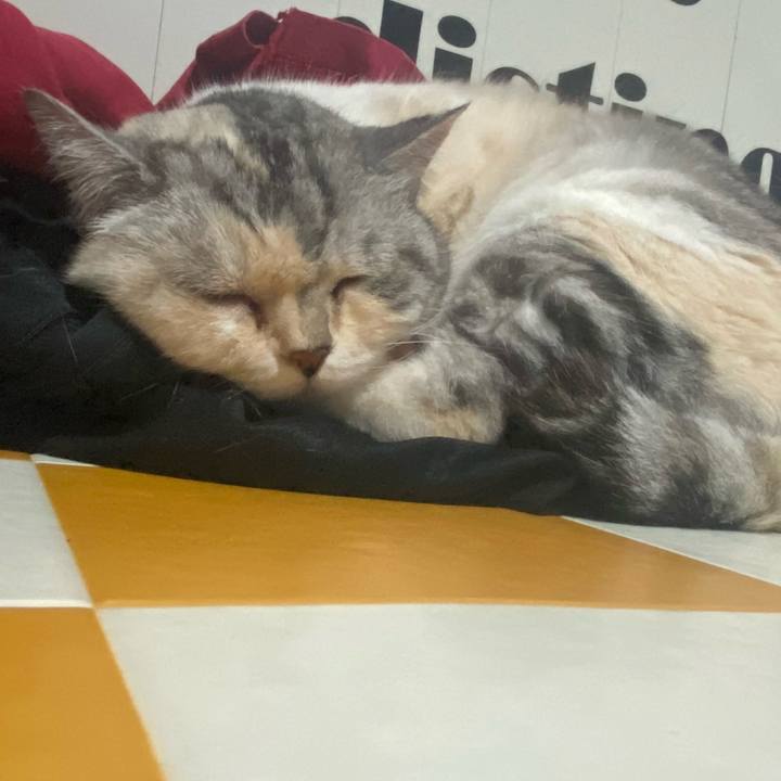 F310c845 eaee 4805 8965 289f476834ac 1717290123810