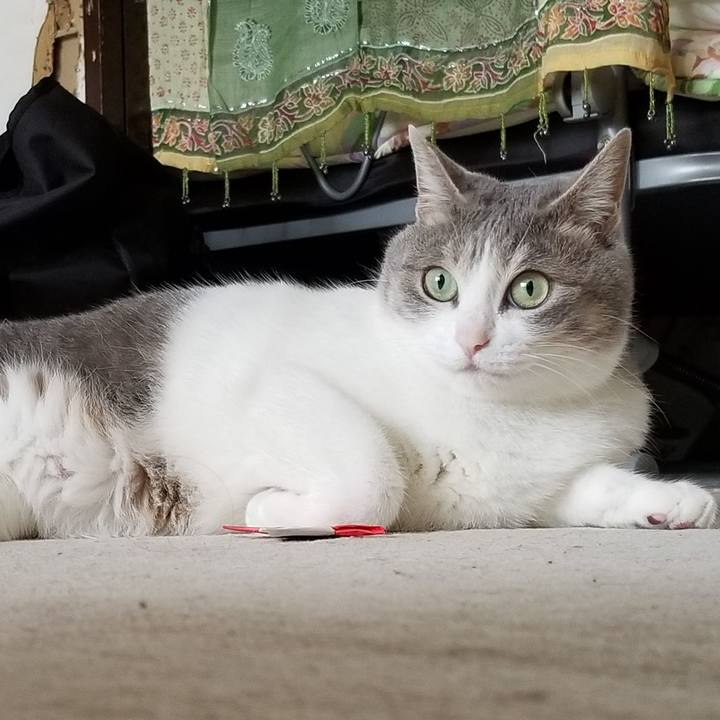 F310d212 9593 4901 b02a f8757e9b639f 1560216200313