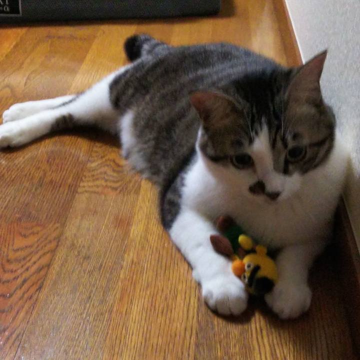 F310ec86 9cd8 412a ba1d a2a8021986d0 1639519070600