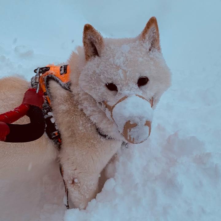 F3112f89 584b 4aba 80fc 4b4e5b34c907 1674686408562