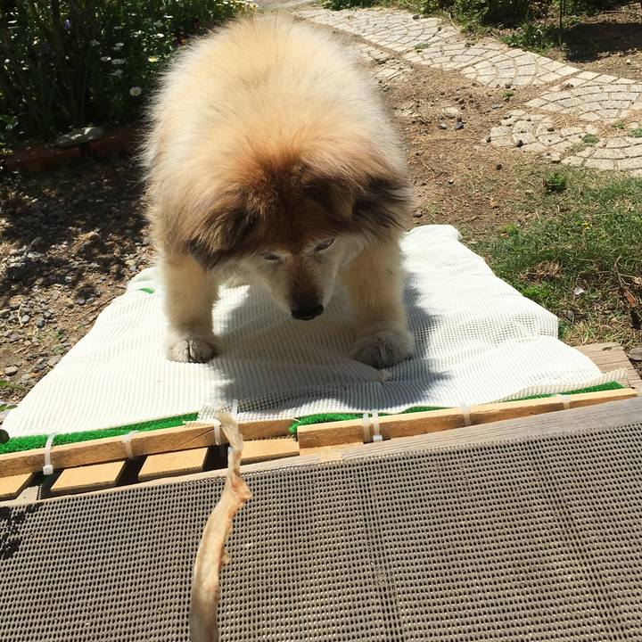 F3116124 d811 47e2 ad78 4dc34e2f2aab 1582474244183