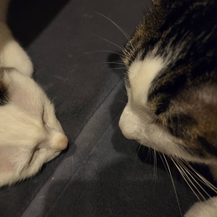 F3116c08 c486 4f8b 9a94 28cf57bb4f8b 1747024137609