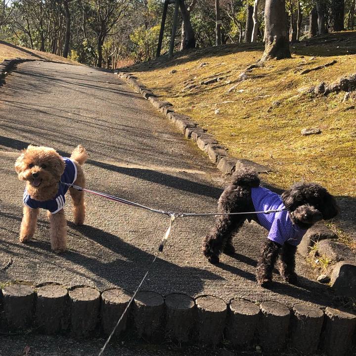 F311b6dc e189 49bc b5da 5f881f70153d 1578651718081