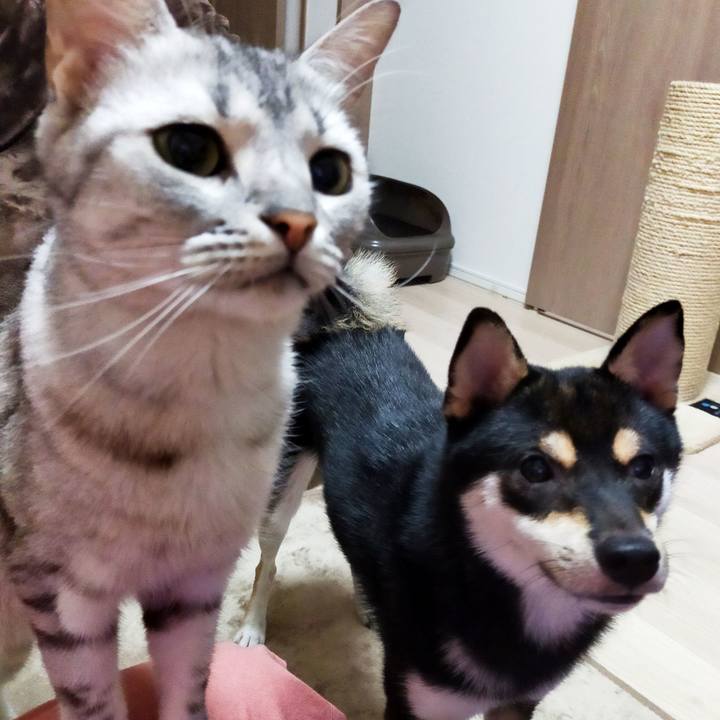 F311c2c8 a1b6 4a69 ac78 7471e554b05f 1594812612281