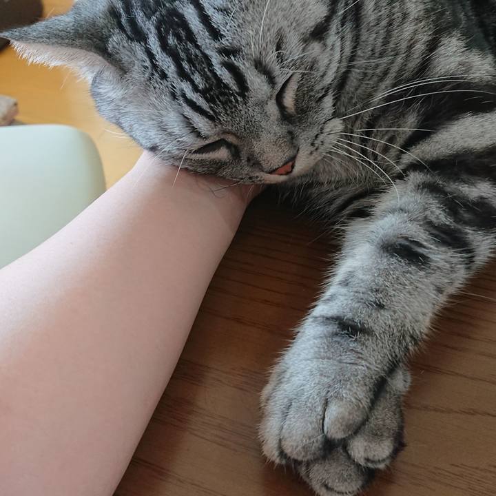 F311ce6b 71f2 4c76 88cf 08d7db7746a9 1532307807994