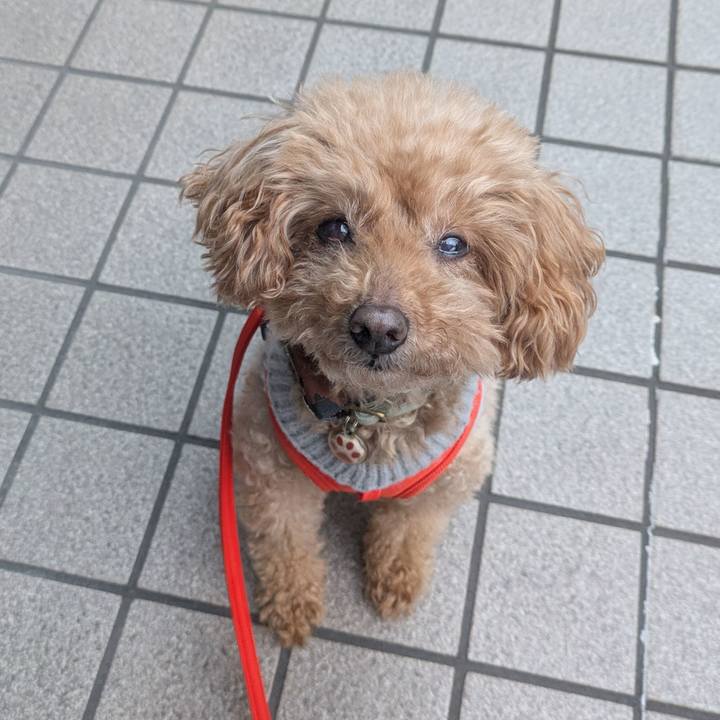 F311e97b 5650 469e b6a7 33124f2c18c6 1766356610904