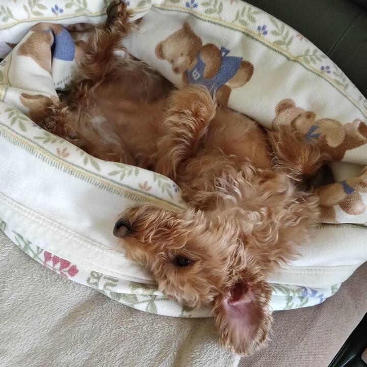 F311e9a0 ee90 42df a1b1 4681716edaf9 1586907389347