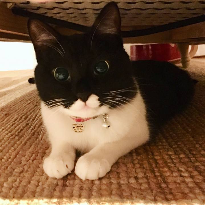 F3123dc5 d389 4672 afbd 9dfcfa7b0470 1514613503403