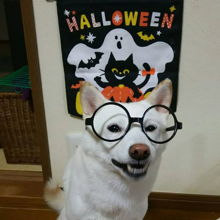 F312641a 4eeb 4d7b b525 8721cbb732d2 1539688779373