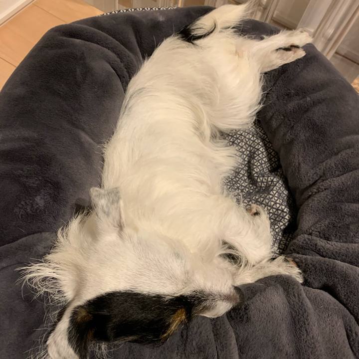 F312643b ffa6 4fe0 931a 067089d40fd8 1605274163425