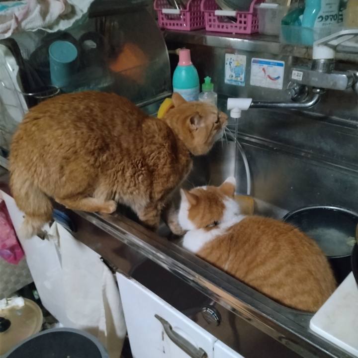 F3127cbe fccc 49e5 9e42 40336ae91b8b 1768687735791