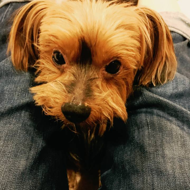 F312904e 7fb8 46e2 a73a b69da503b455 1527761714119