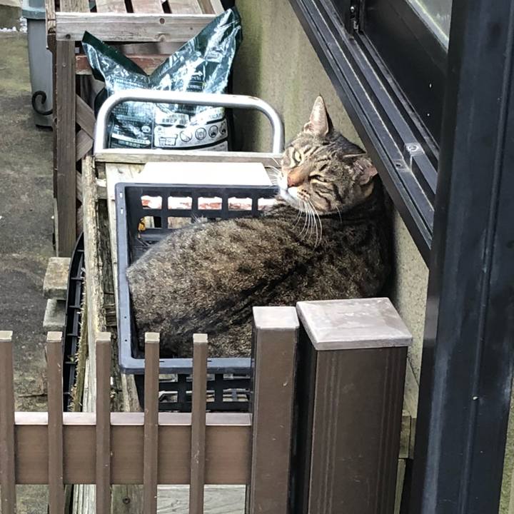 F312b354 3d2f 42c1 8e43 e8fa52edbf7d 1538619409052