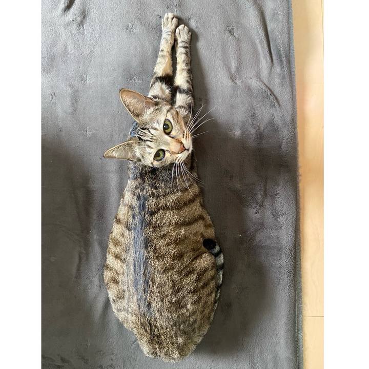 F312dcaa 1bdc 4ad9 aac9 5d69a3ddfd54 1711590393809