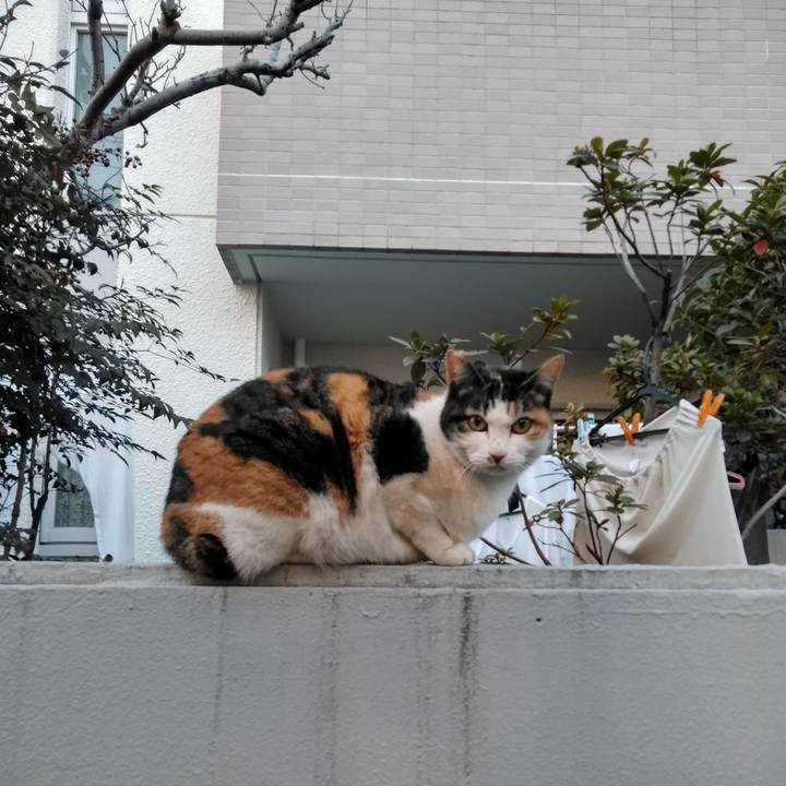 F312e0d5 f60f 4422 a181 b5fb65fcf755 1550049255268