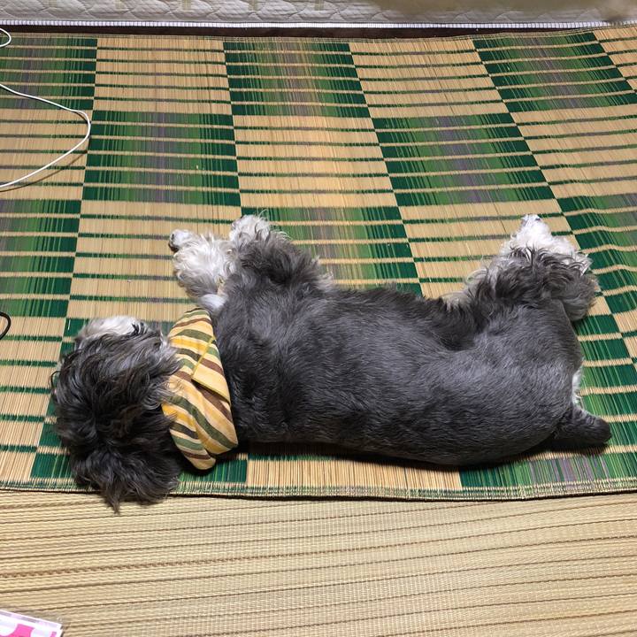 F312f37e abf1 4934 b6ba dd6458c56bd0 1535663082844