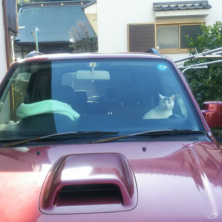 F312f827 4ca7 44cd 9311 c35d52fd2736 1548312145761