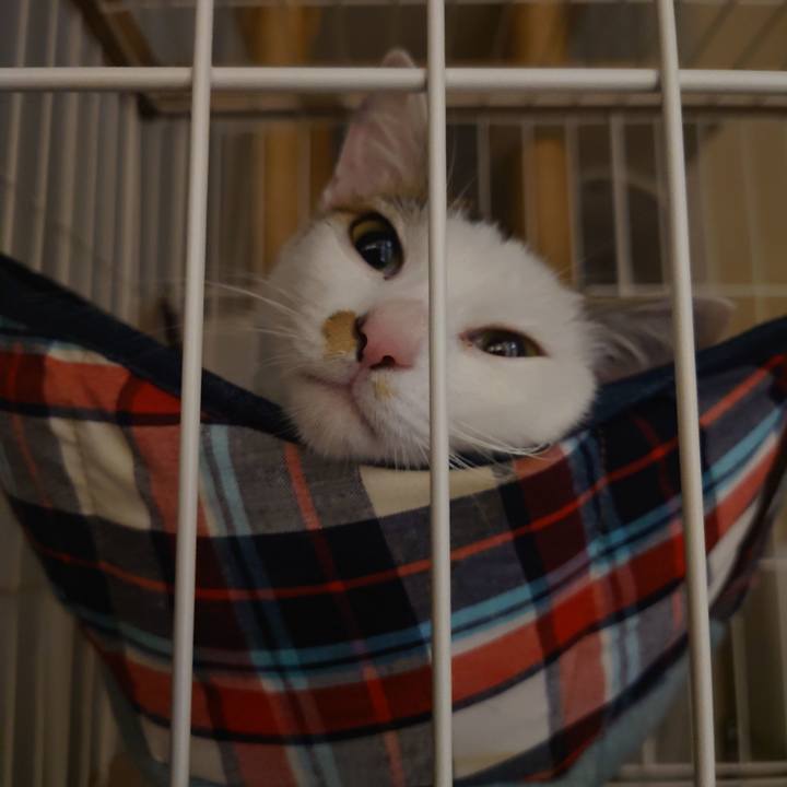 F31329a4 98f6 4fab 96c5 7aad5d4f3a2e 1689520720008