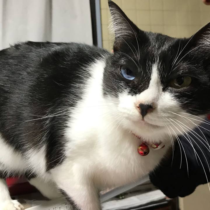 F3136622 4699 4c99 8613 3cc0a197045c 1539863886103