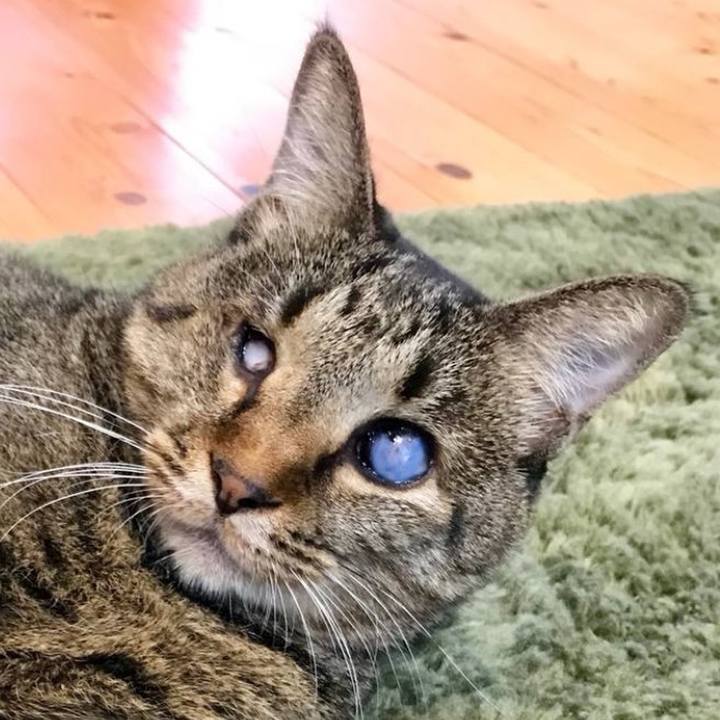 F3137e49 5546 4ecc a386 8f430858a31b 1759225417208