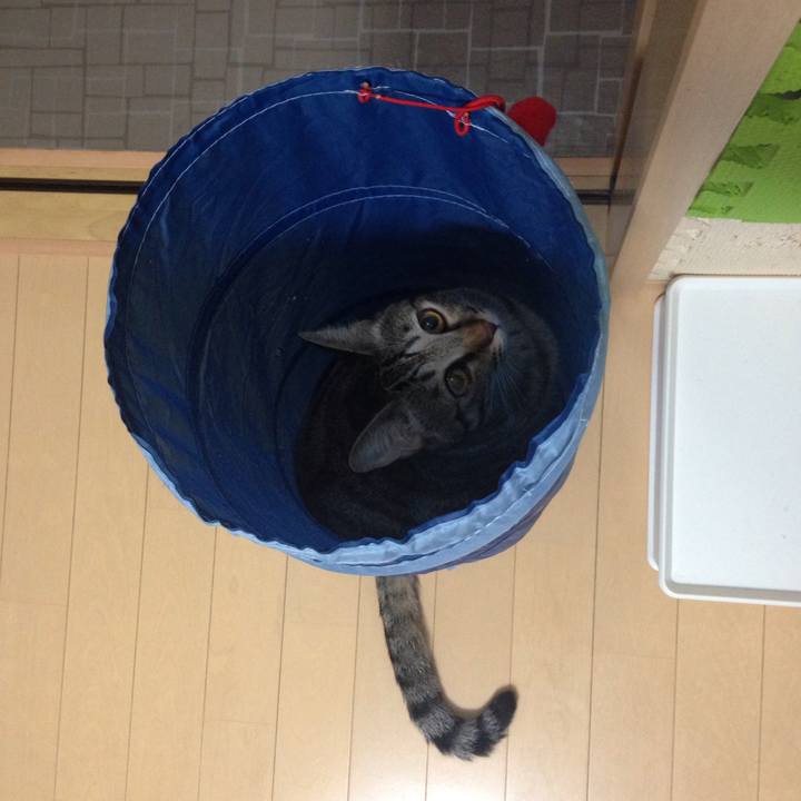 F313ae80 64f6 45d4 aba5 80e2a752520a 1507992204723