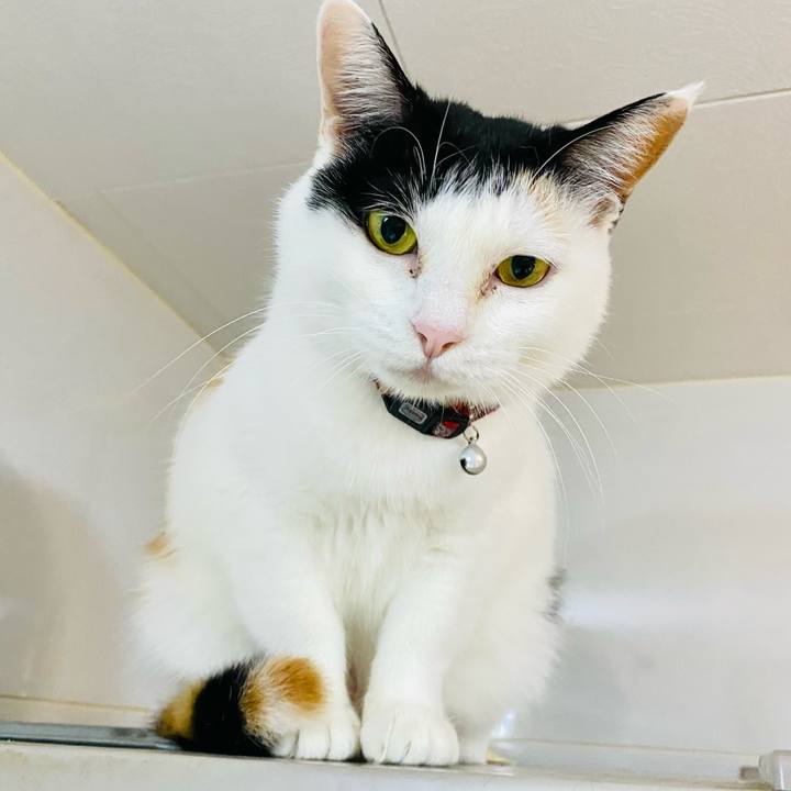 F313b88f 04e0 4f79 8747 72562d04ff0c 1679748594727