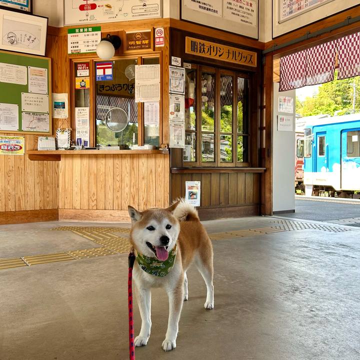 F313c780 061c 433f 8bad 384d5093892b 1748520603690