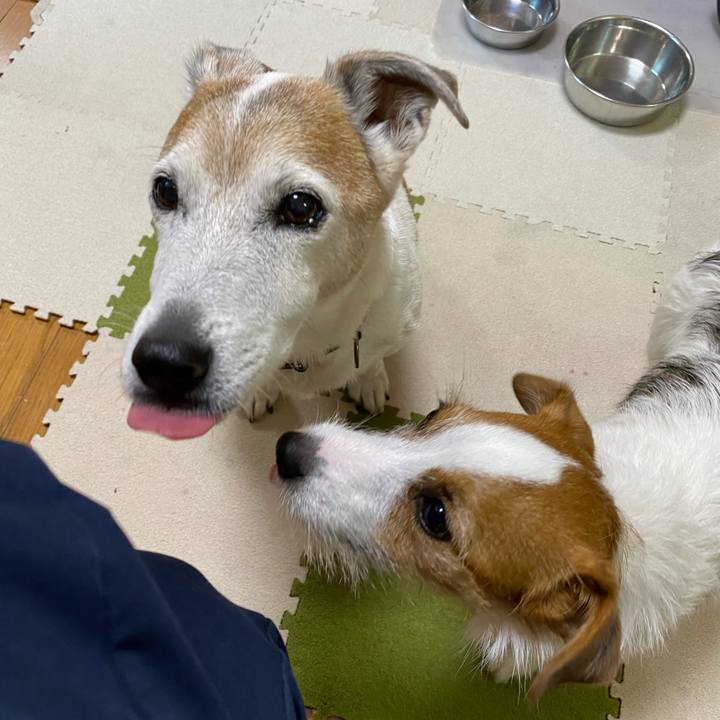 F313d6a3 b9b7 48c0 a59d f8ec0aac0333 1637015694556