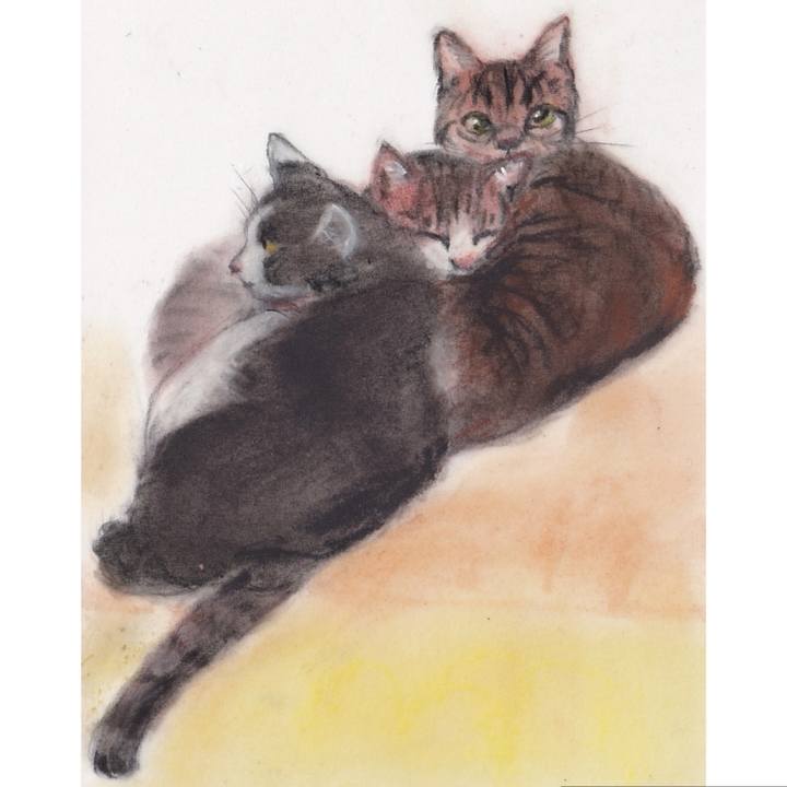 F313edef e341 4fe6 a069 66a66406fc90 1730586330312