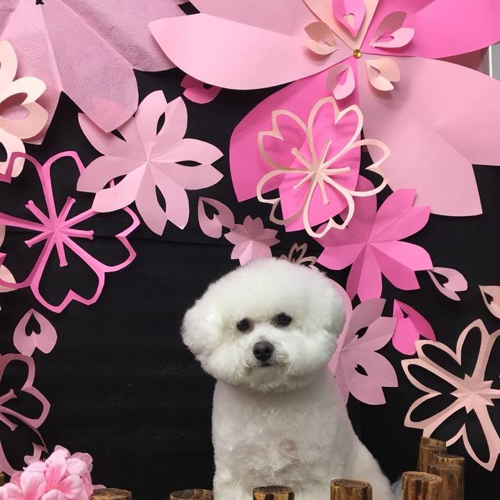 F3144f28 0b07 45aa a912 3bf9d1a63617 1522280348546