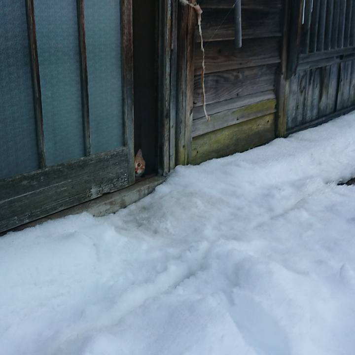 F31452f7 46cc 44be 942f 8a6beb88f510 1642975674204