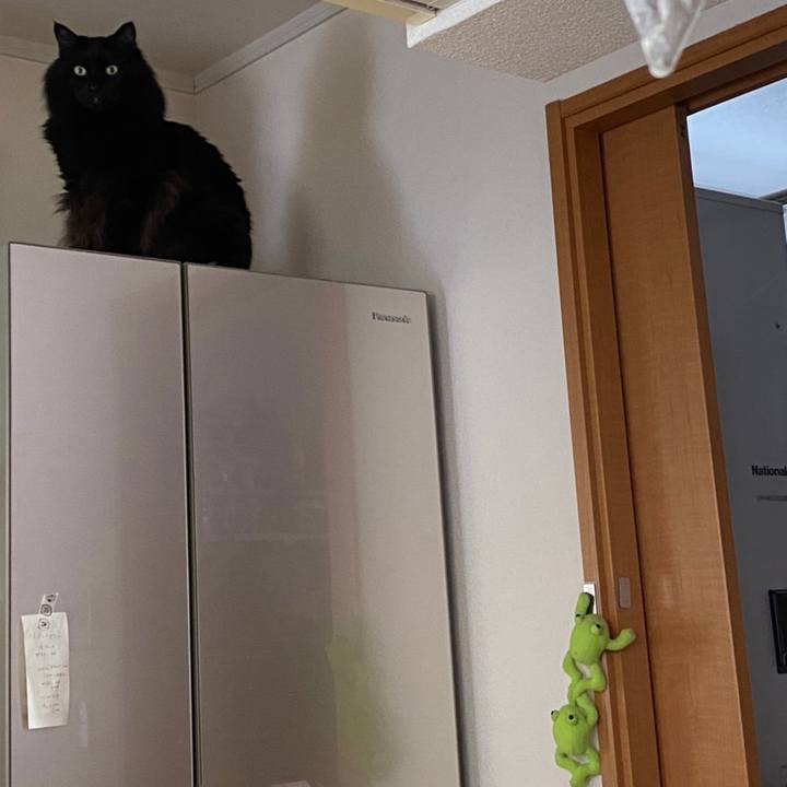 F3146666 0553 4e56 94d0 91dff42555ca 1616290503142