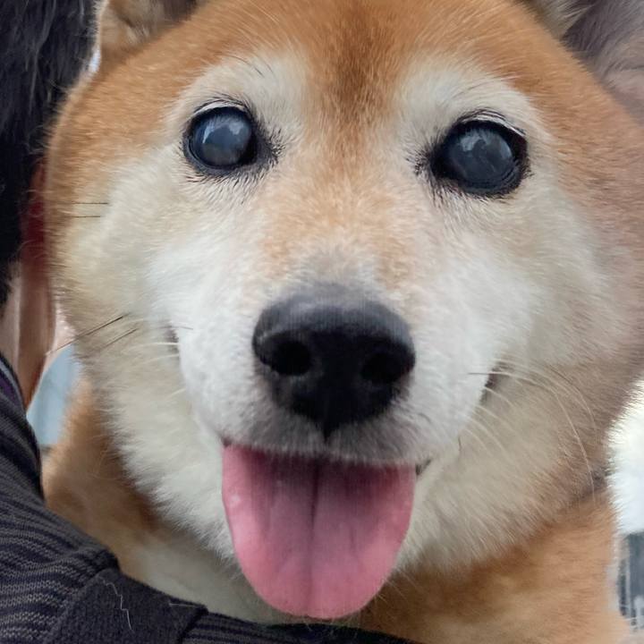 F3146ad3 930b 4afe b833 5f16e9cf4d9a 1688894097219