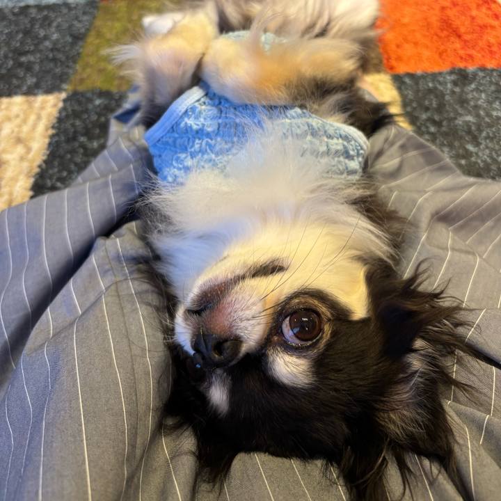 F3149e0c c22f 48f4 b79d ac2c4bdad5b4 1750609029975