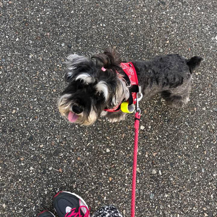 F314c24b 3ecc 4814 b3d1 fc4dc2b1e873 1532120658238