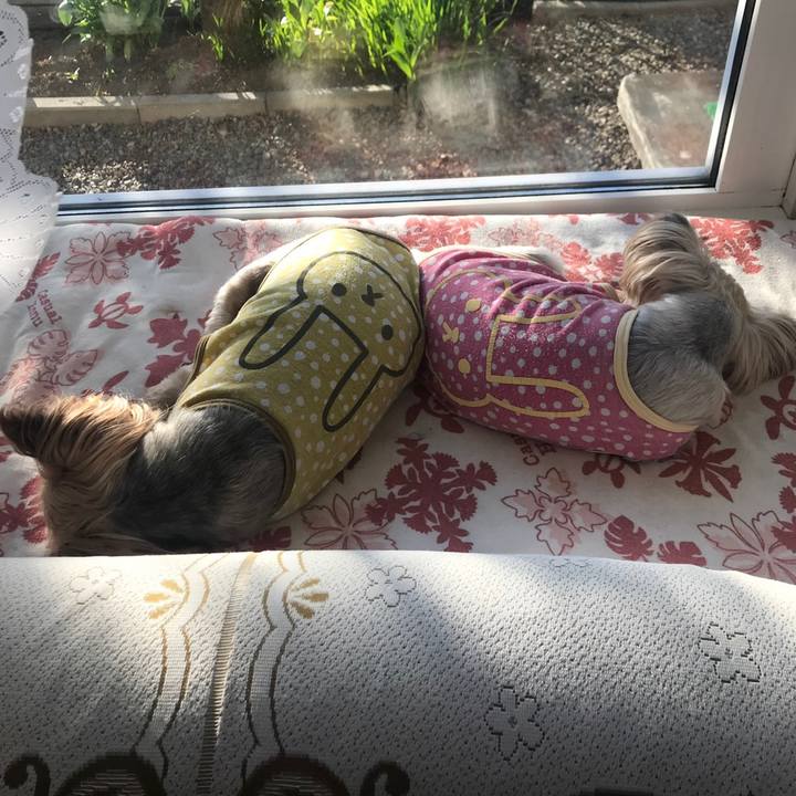 F314c746 6e04 4a8b 9d9c b7ebc1fe475a 1560417129114